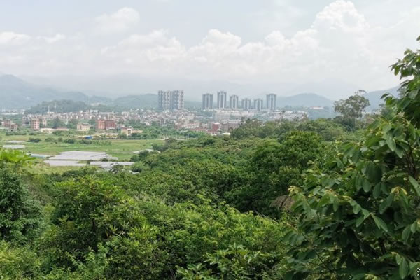 洋麻山森林(lín)公園