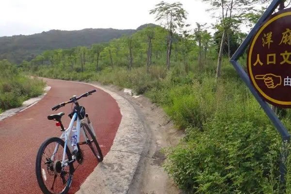 洋麻山森林(lín)公園散步、跑步、自行車騎行的(de)慢(màn)行運動