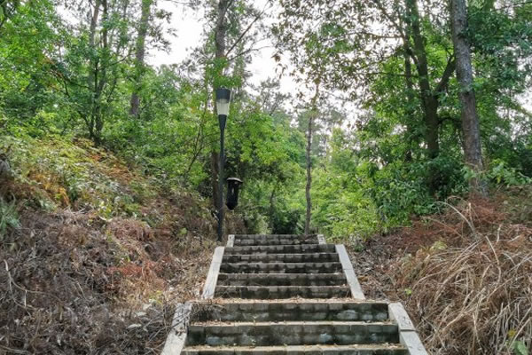 洋麻山森林(lín)公園集運動、度假、休閑爲一體的(de)生态休閑區(qū)